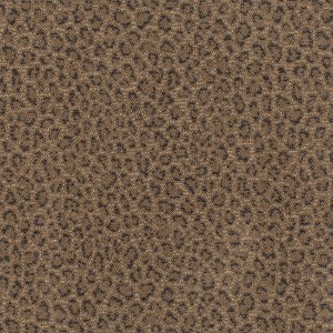 Exotic Touch African Plain